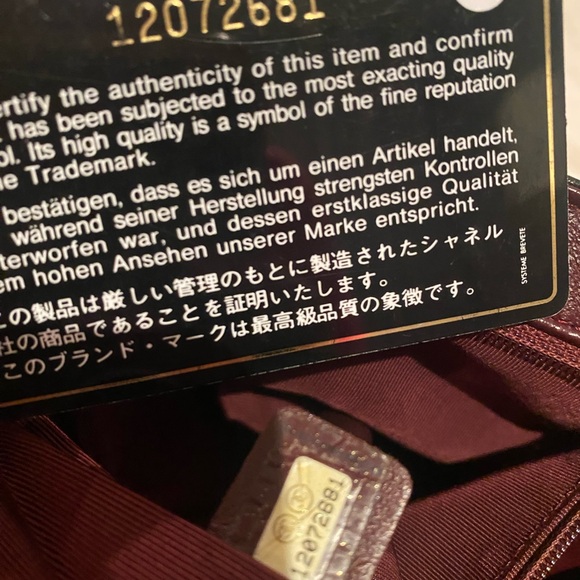 Chanel Lambskin Quilted Bijoux Accordion Flap Crossbody Double Strap Shoulder. - Picture 7 of 16